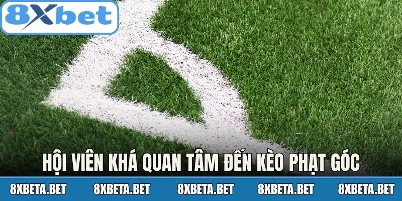 Hội viên khá quan tâm đến kèo phạt góc